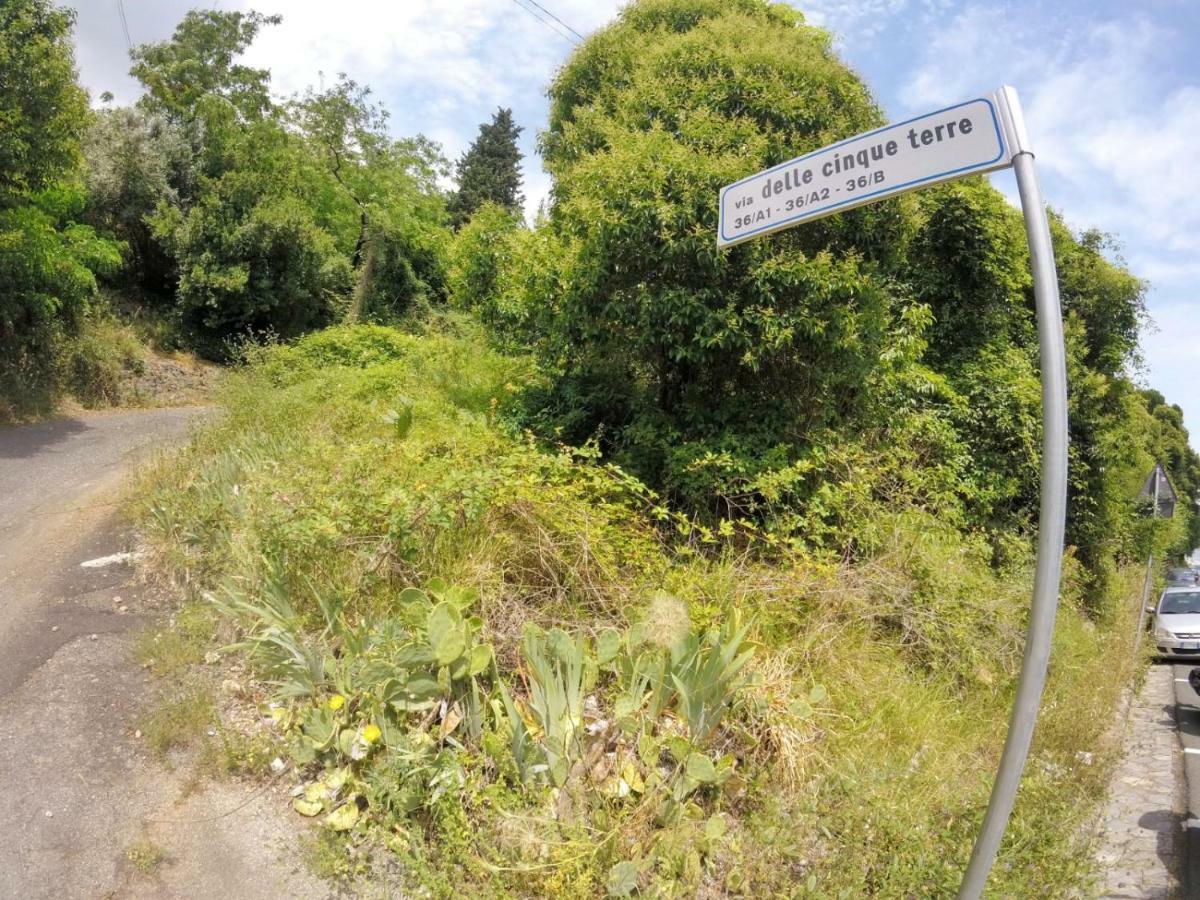 Villa Grazia La Spezia Dış mekan fotoğraf